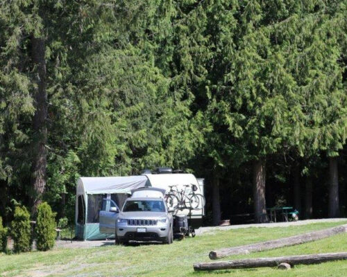 woodsyew-2